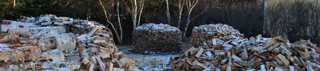 Municipal Services — Town of Logy Bay-Middle Cove-Outer Cove